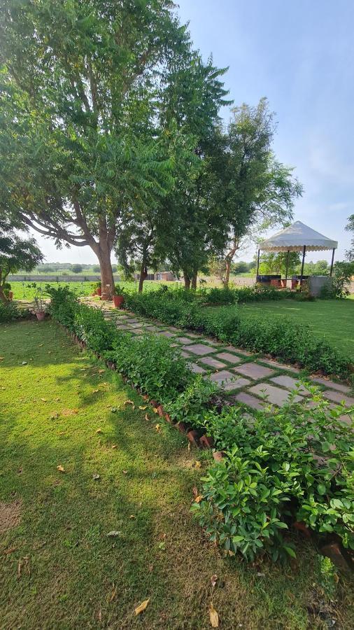 The Rustic Villa, A Stay With Luxuries Amenities And Exotic Nature Džajpur Exteriér fotografie