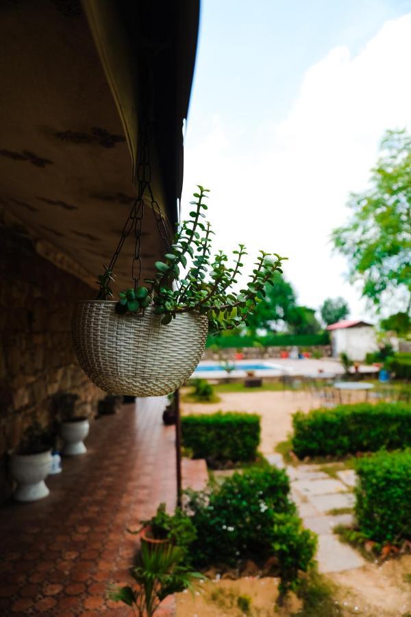 The Rustic Villa, A Stay With Luxuries Amenities And Exotic Nature Džajpur Exteriér fotografie
